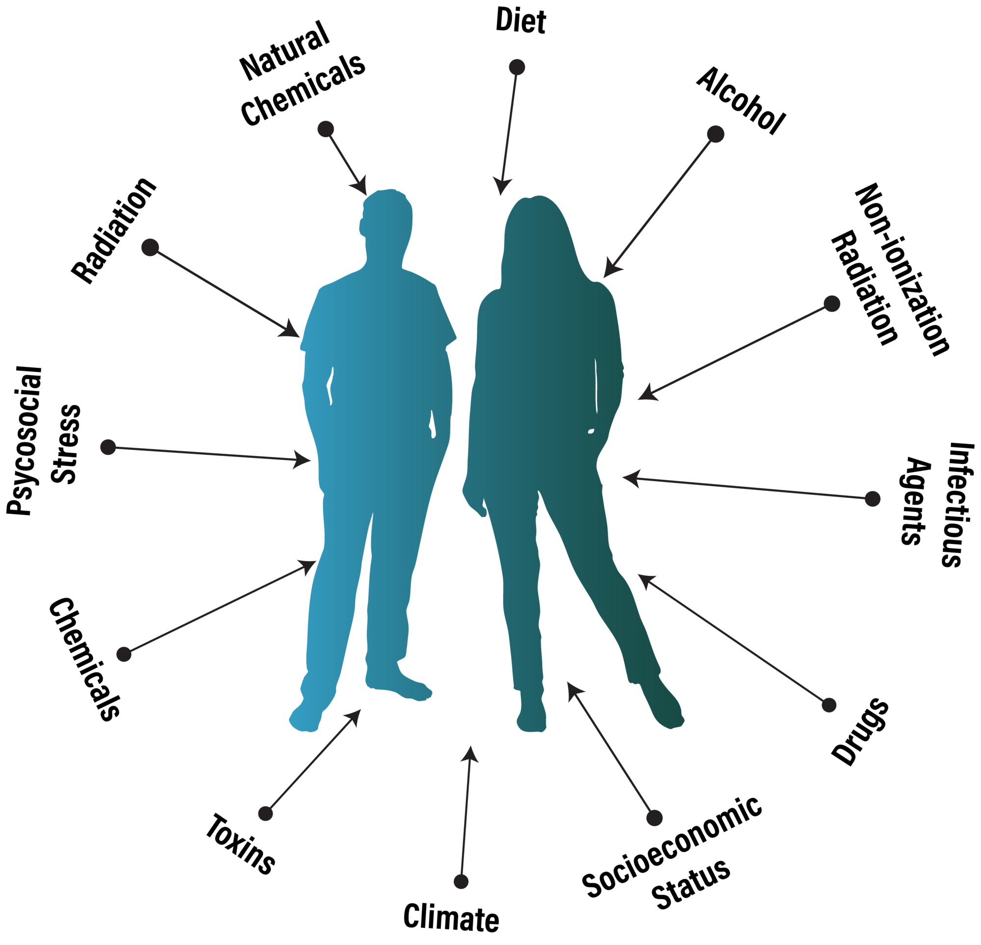 Some of the factors that contribute to the human exposome including environmental (chemicals, toxins, drugs, infections) and humanistic (socioeconomic status, phycological stress,)